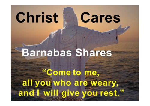 Stapline - Christ Cares St. Barnabas Shares